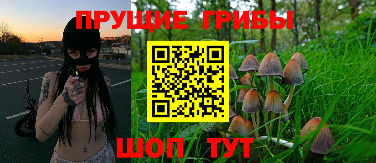 Галлюциногенные грибы Cubensis Реж